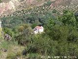 Cortijo de la Torre de la Condesa. 