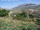 Cerro de la Condesa. Vistas