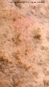 Pinturas rupestres de la Cueva Escondida de los Caones