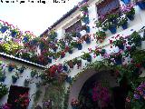 Casa de la Calle Tinte n 9. Patio