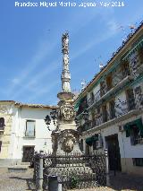 Triunfo de San Rafael de la Plaza de los Aguayos. 