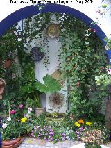 Casa de la Calle Chaparro n 3. Arco