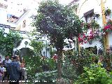 Casa de la Calle Chaparro n 3. Patio