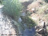 Arroyo de las Caadas. 