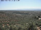 Camino de las Atalayuelas. Vistas