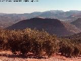 Loma del Caballo. Desde el Torren de las Mimbres