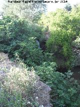 Cascada del Arroyo Los Morales II. 