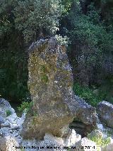 Piedra de la Cerrada de Elas. 