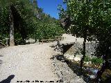 Puente de Madera de la Cerrada del Puente de Piedra. 