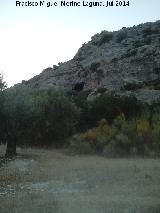 Cueva del Frontn. 