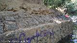 Puente de los Martos. Base