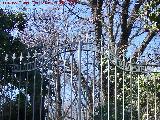 Casera del Jardn del Obispo. 