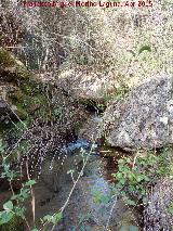 Arroyo de Navalayegua. 