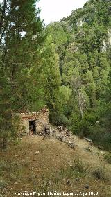 Molino de la Parra