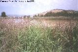Pantano Pedro Marn