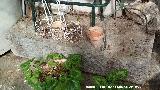 Casa de la Calle Santa Brgida n 17. Sillar