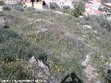 Torre ibero-romana del Cerro de la Horca. Restos de construcciones