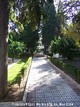 Paseo de Rosas. 