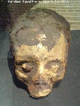 Museo de Antropologa. Cabeza momificada egipcia