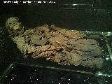 Museo Arqueolgico de Tenerife. Momia Guanche
