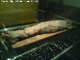 Museo Arqueolgico de Tenerife. Momia Guanche