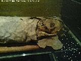 Museo Arqueolgico de Tenerife. Momia Guanche