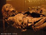 Museo Arqueolgico de Tenerife. Momia Guanche
