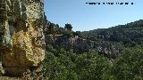 Pinturas rupestres y grabados del Poyo del Medio de la Cimbarra I. Vistas