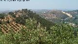 Torren de la Atalaya. Comunicacin con la Torre del Algarrobo