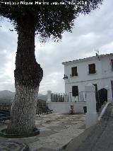 Plaza de Zagrilla Baja. 