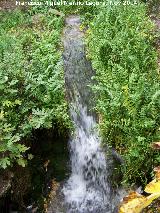 Cascada de Zagrilla Baja. 