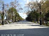 Paseo de Linarejos