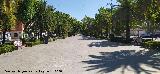 Paseo de Linarejos
