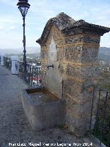 Fuente de Enmedio. 