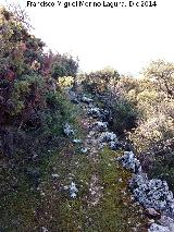 Camino viejo de Mata Bejid. 