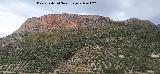 Cerro La Veleta