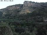 Cerro Jamargo