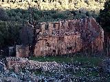 Cortijo del Moro