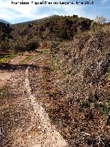 Caz del Jandulilla