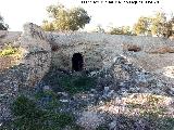 Cueva de Los Marranos. 