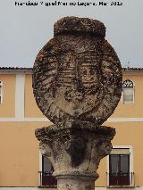 Fuente del Castillo. Escudo