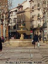 Fuente del Coso. 