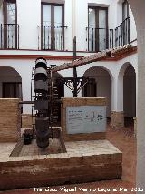 Centro de Interpretacin de la Vida Rural y del Aceite. Noria de Sangre en el patio