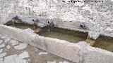 Fuente de Carchelejo. 