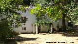 Molino Gris
