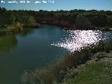 Laguna de Burguillos. 