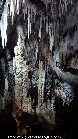 Cueva de los Murcilagos. 