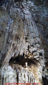 Cueva de los Murcilagos. 