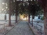 Cementerio de Torreperogil. 
