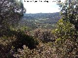 Valle del Ro Despeaperros